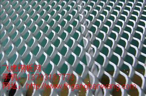 安平不銹鋼鋼板網2