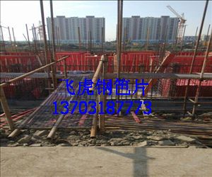 建筑鋼笆踩踏板網-04 建筑鋼笆踩踏板網-04