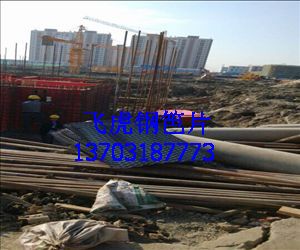 鋼笆網(wǎng)片拉伸網(wǎng)-02 鋼笆網(wǎng)片拉伸網(wǎng)-02