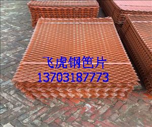 建筑鋼笆踩踏板網-02 建筑鋼笆踩踏板網-02