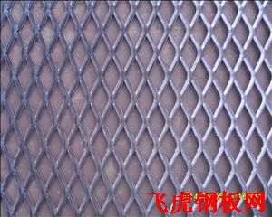 安平防護型鋼板網