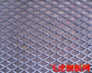 溫州厚鋼板網-04