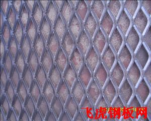 天臺加厚型鋼板網