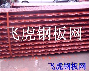 溫嶺厚鋼板網-04