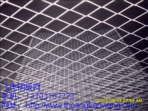 保溫用鋼板網－01