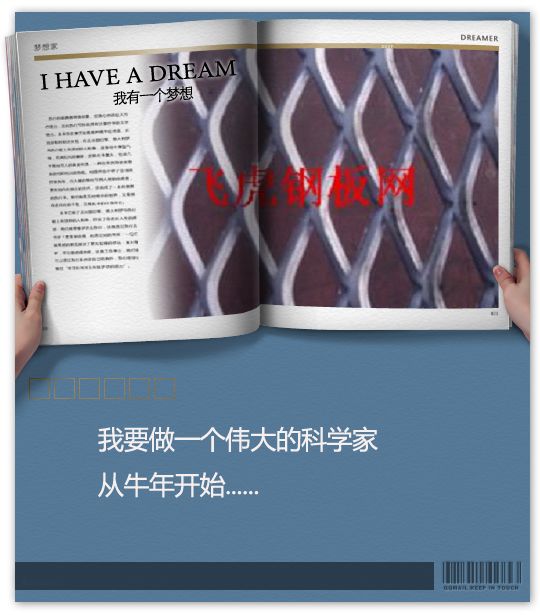 靖江大型厚鋼板網